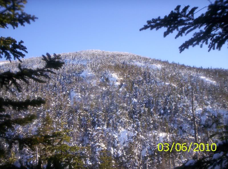 Gray-Skylight-M arcy Winter 012