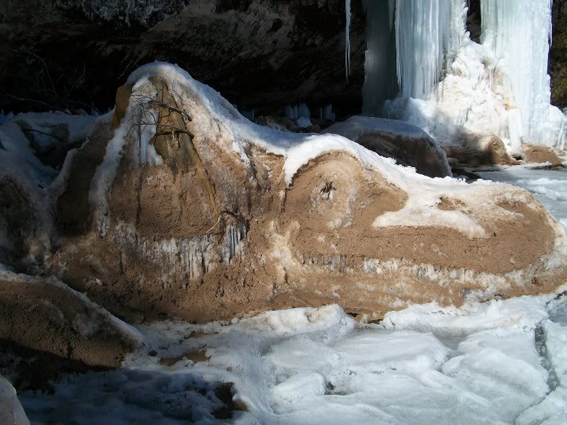 Inca sculpture? Fossil dinosaur?