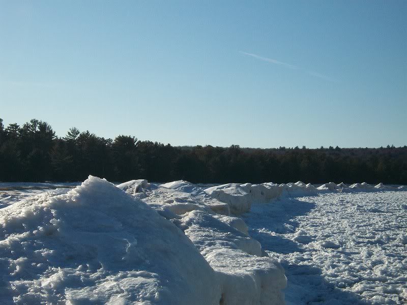 "Stacks" (ice sculpted by storms) along Trout Bay