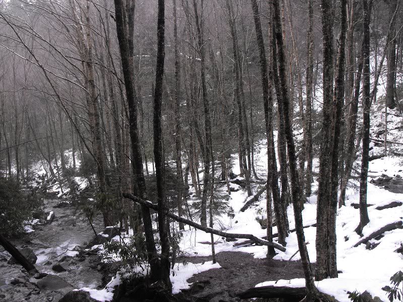 LeConte Airlift 03.19.10 003