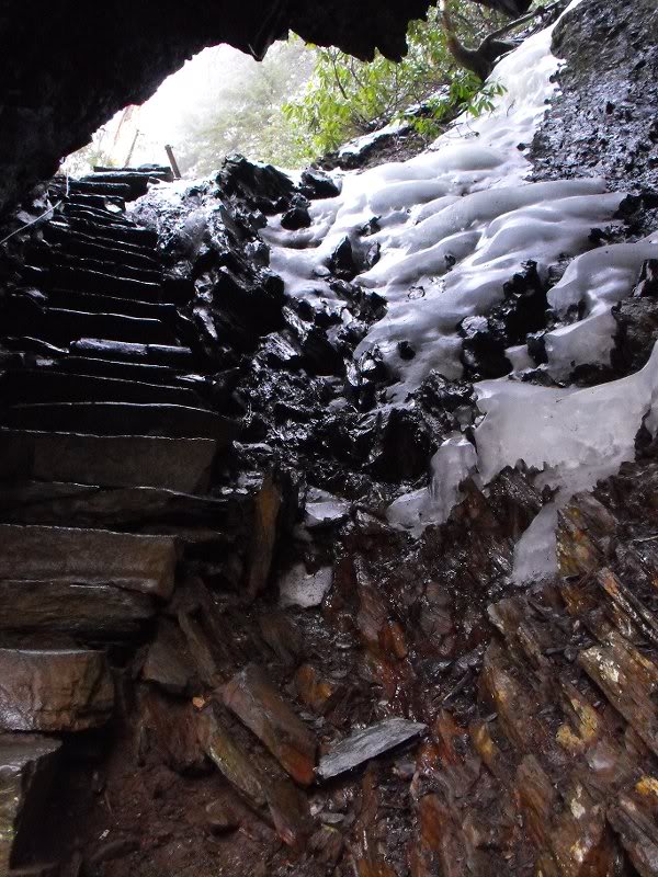 LeConte Airlift 03.19.10 004