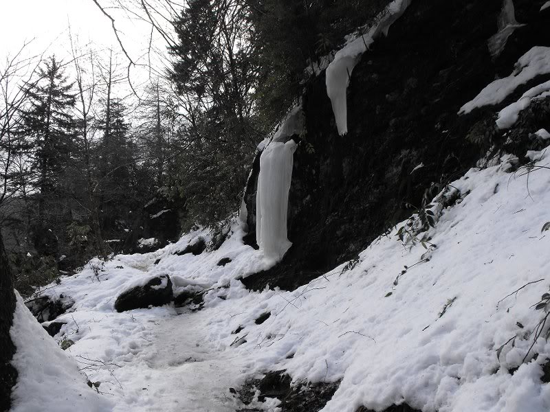 LeConte Airlift 03.19.10 005