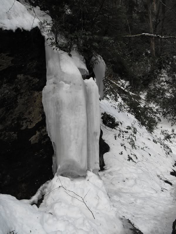 LeConte Airlift 03.19.10 006