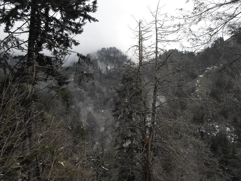 LeConte Airlift 03.19.10 007