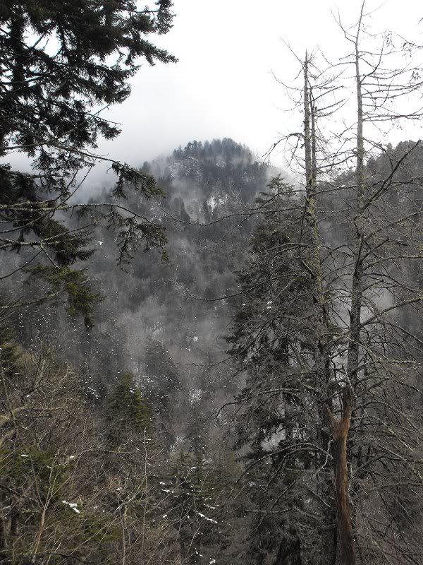 LeConte Airlift 03.19.10 008