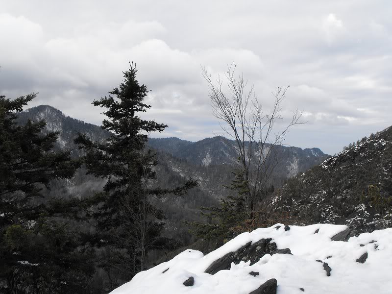 LeConte Airlift 03.19.10 009