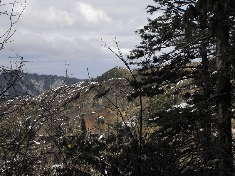 LeConte Airlift 03.19.10 010