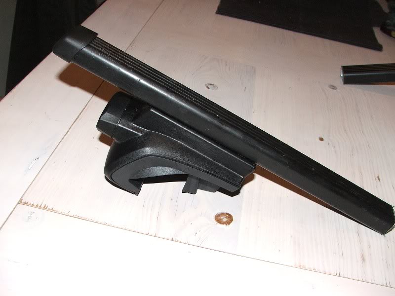 potholeKittenCy clerack 025