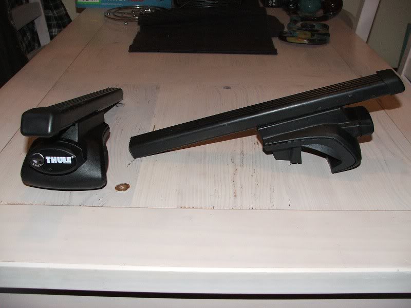 potholeKittenCy clerack 027