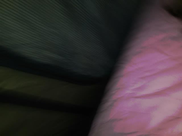 IMG00900-201004 01-0438