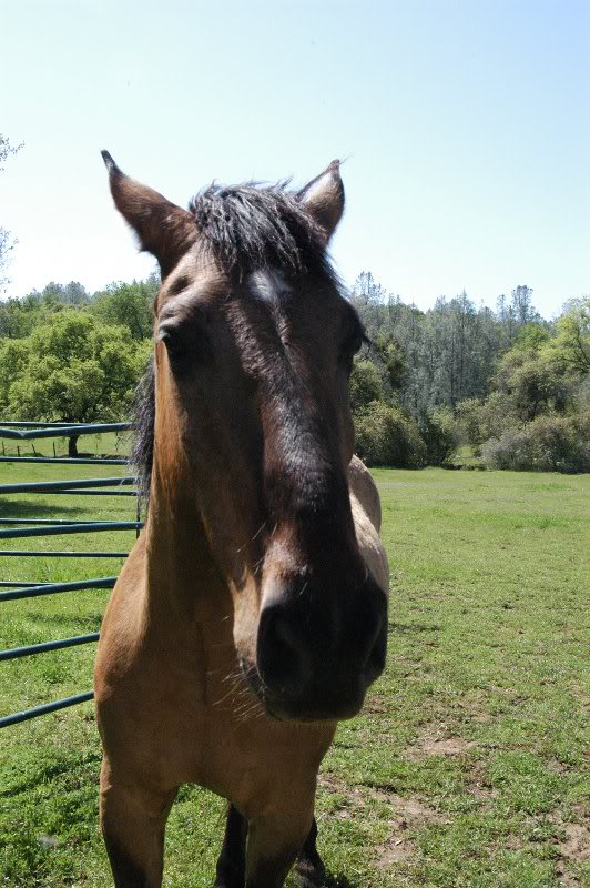 Uhhhh...watcha doin'