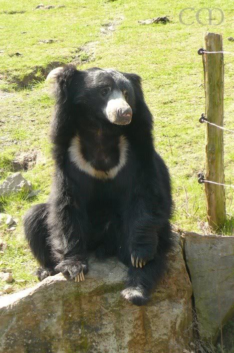 And he lives here together...