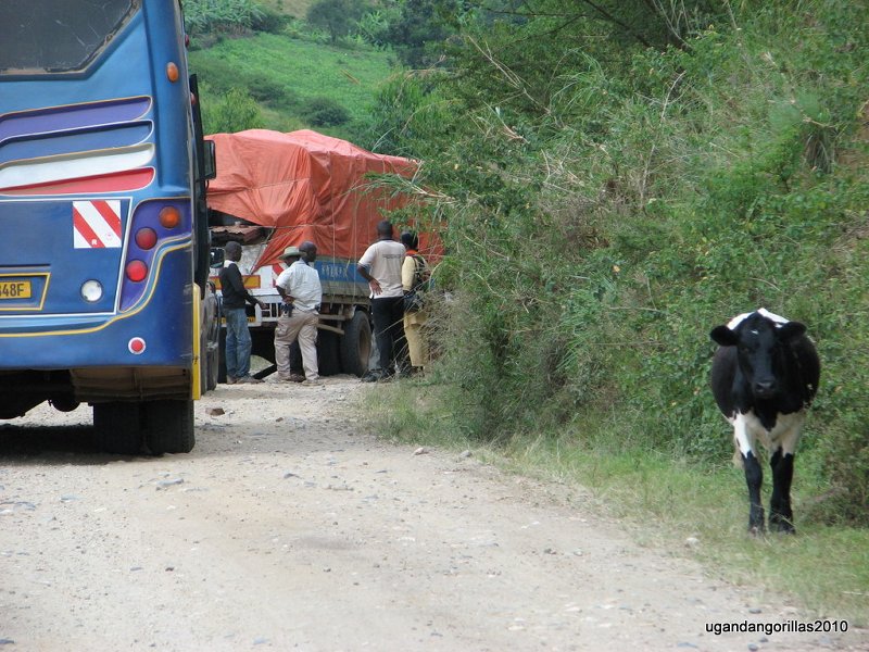 Our buss was blocked by a broken lorry