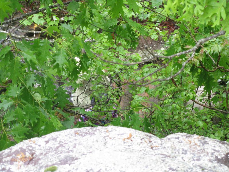 eic4Hinvolvemen t 141