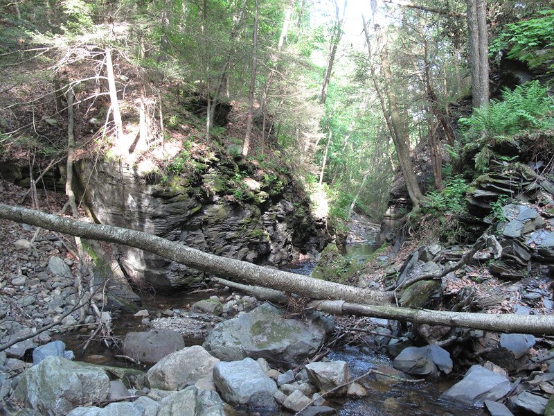 race slateford jacktown quarry indicator 5-14-16-10 250