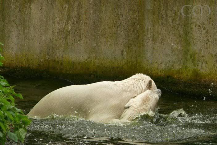 Big Knuti - small Gianna! :)