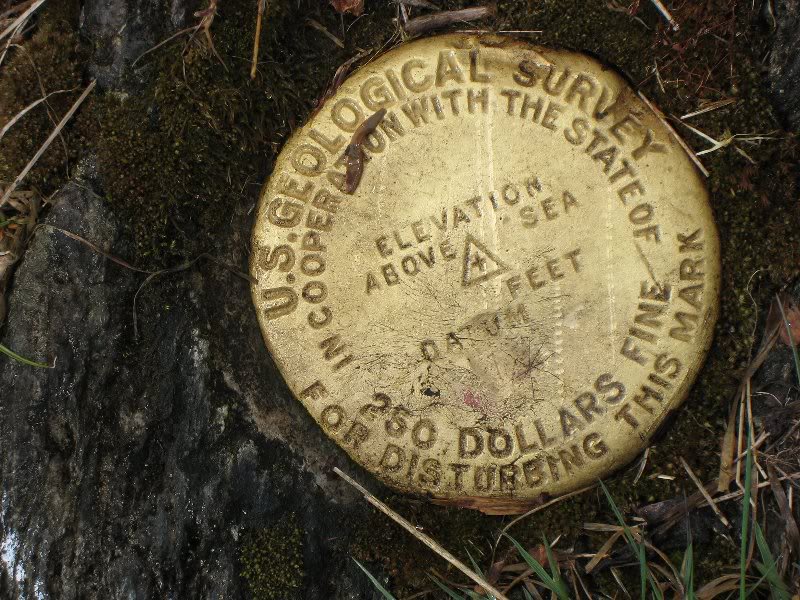 Rochester Mt. summit disc