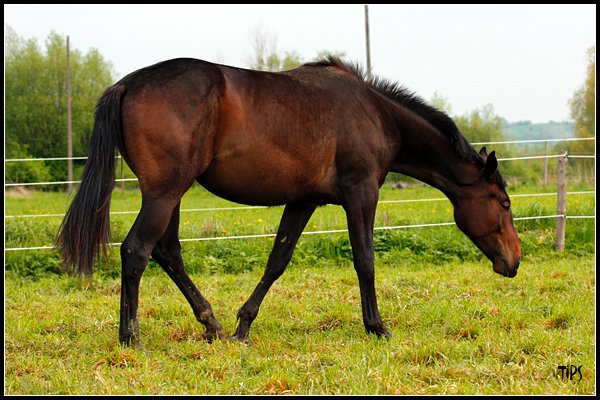 2010_05_07_9999 _155