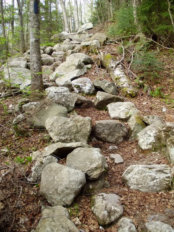 Nice rock steps
