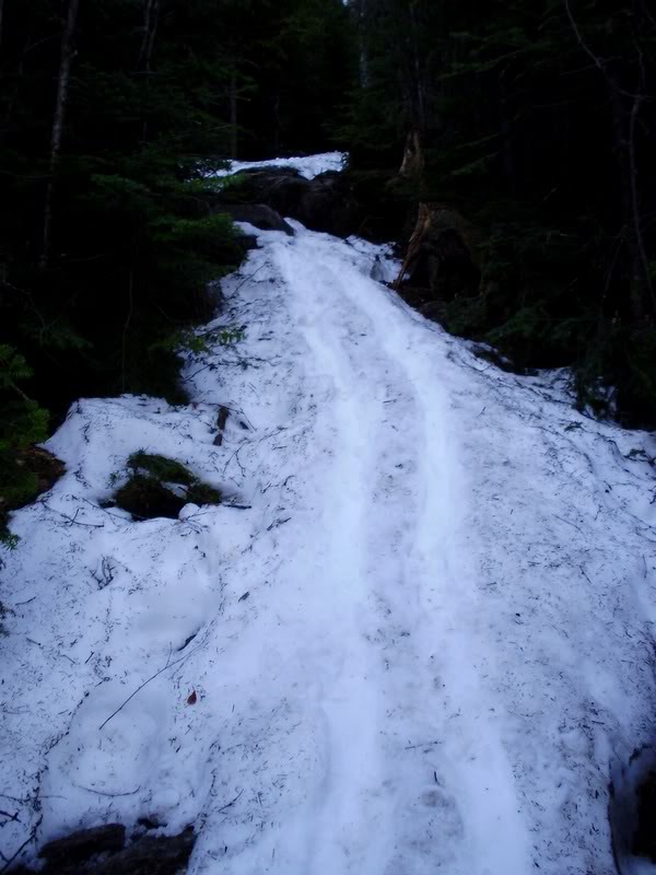 Snowy trail above Randolph Path