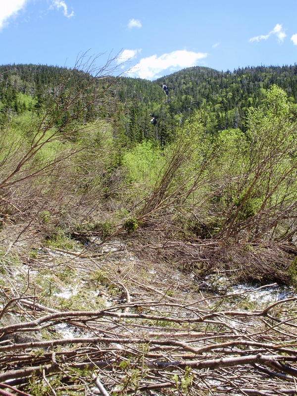 A couple waterfalls above I would pass later