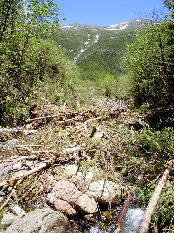 Bottom of avalanche path