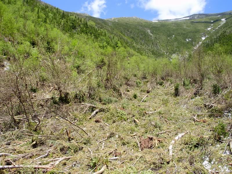 I bushwhacked out into the slide path