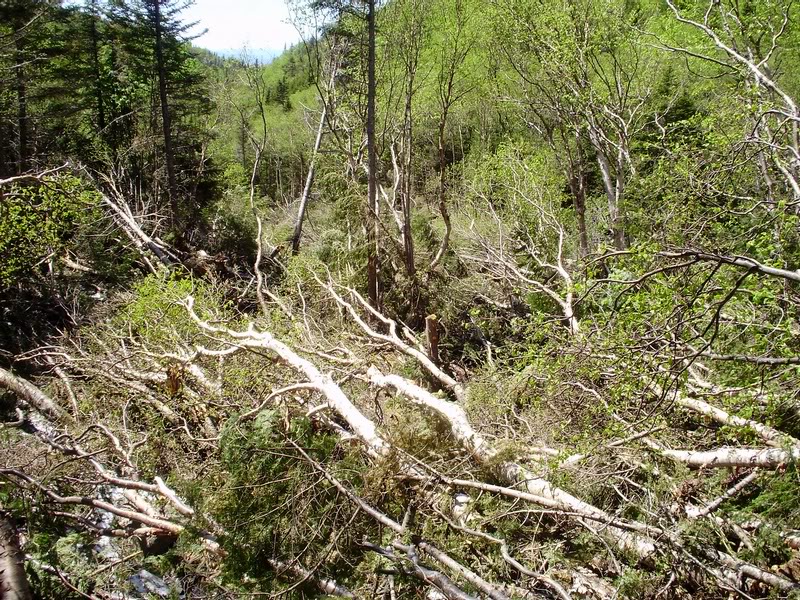 This was a short part of the trail. Looking down from ...