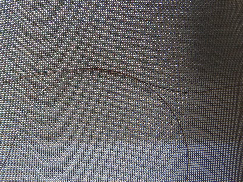 HPOP screen with hair