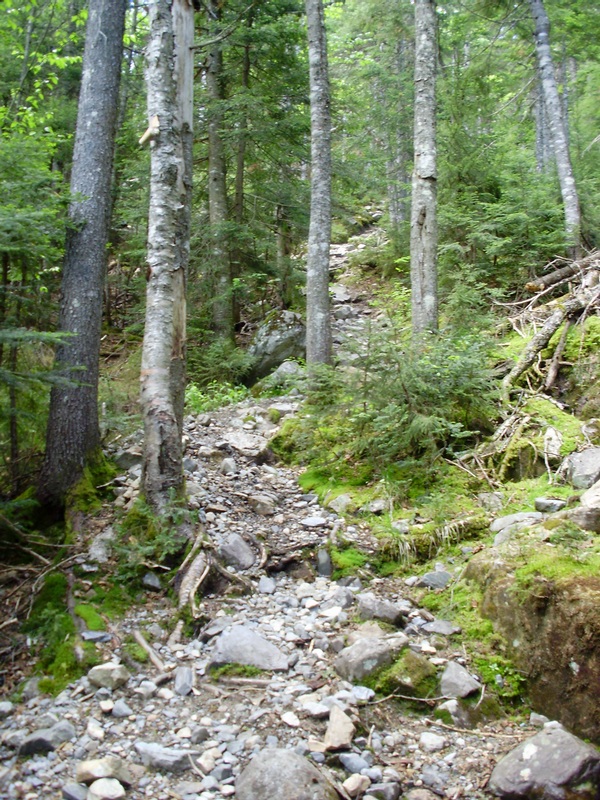 And the steep climbing begins ~3000 feet