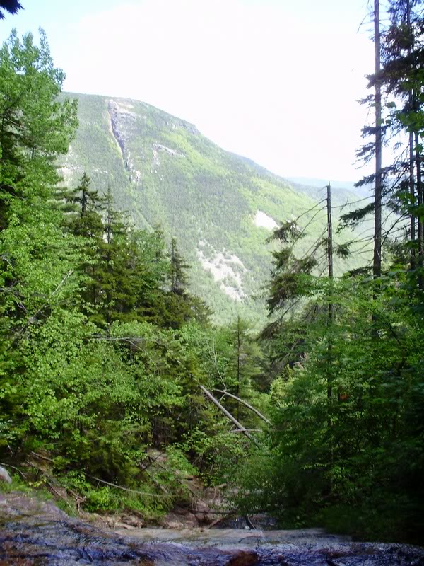 View from Kendron Flume