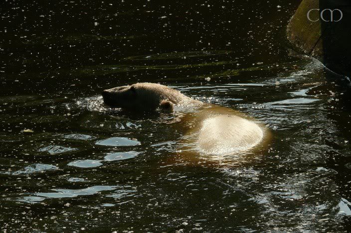 Mmm... Cool water...