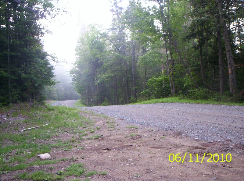 NPT Benson-Wakley 005