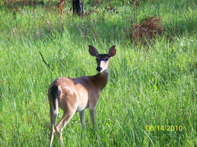 Ocholockonee State Park