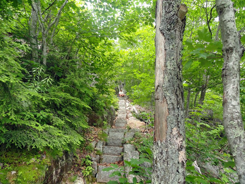 Ladder Trail (2)