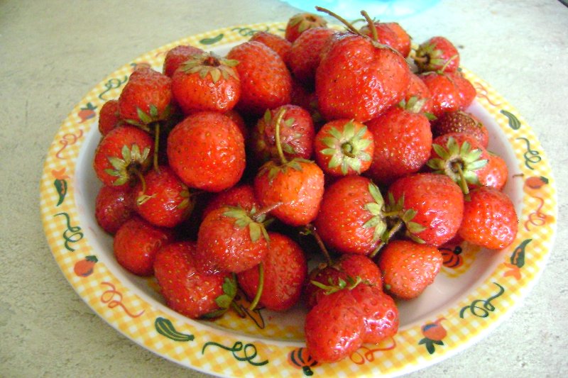 Capsuni!(=cune la David) Preferatele baietilor!