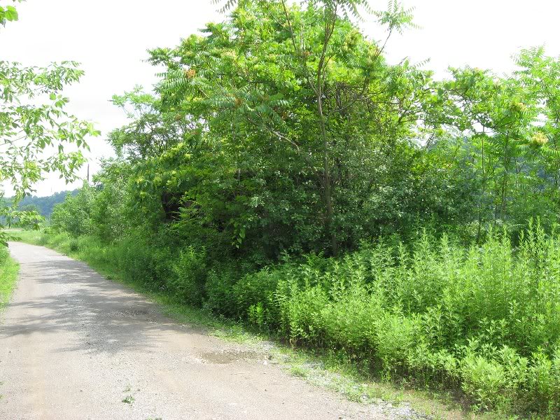 2010-06-23 10-09-47_0041