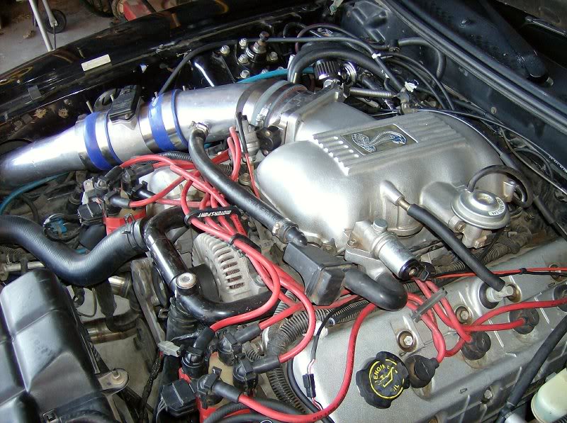 Original Cobra Engine Bay 2
