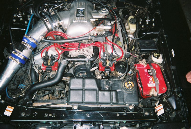 Original Cobra Engine Bay