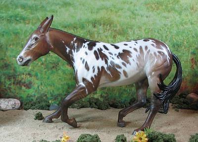 Bang Up Billie--dst--06 3