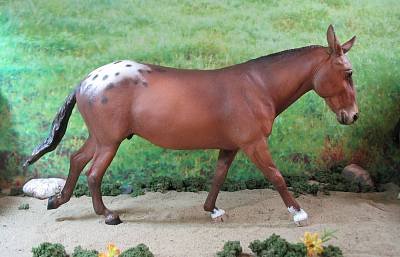 Sha Zaam Man--dst--063