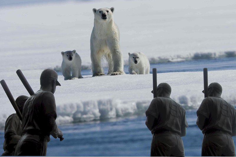 teammates polarbears