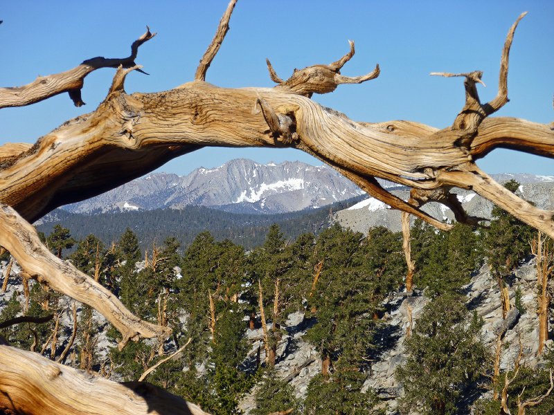 Framing the Great Western Divide