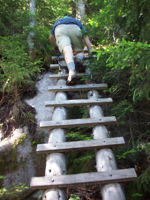 Ladder on Pinnacle spur trail