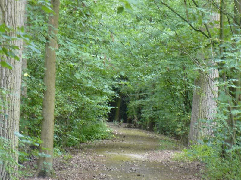 one of the old walking routes
