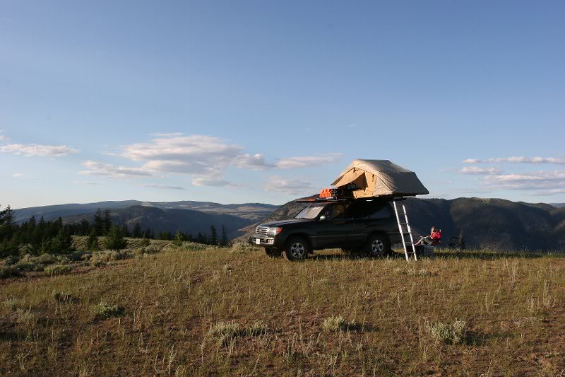 Chilcotins July 2010 013