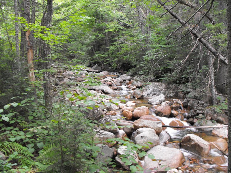 Mt Carrigan Hike (02)