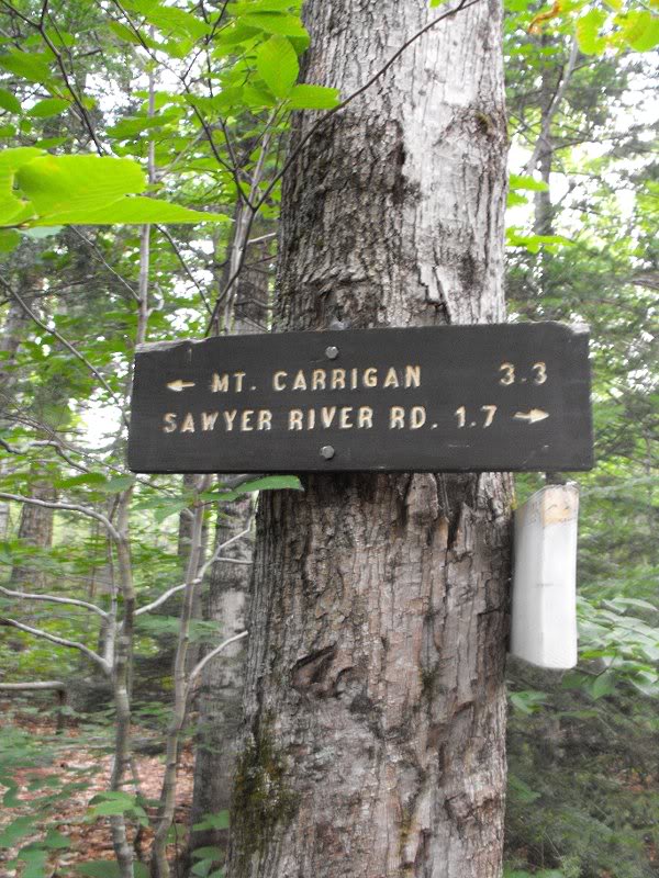 Mt Carrigan Hike (03)