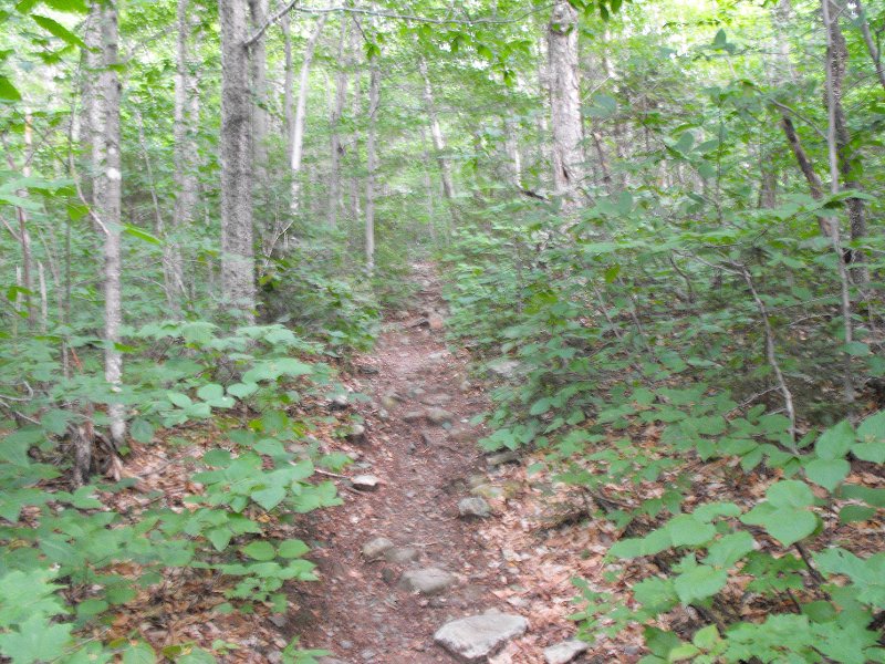 Mt Carrigan Hike (05)