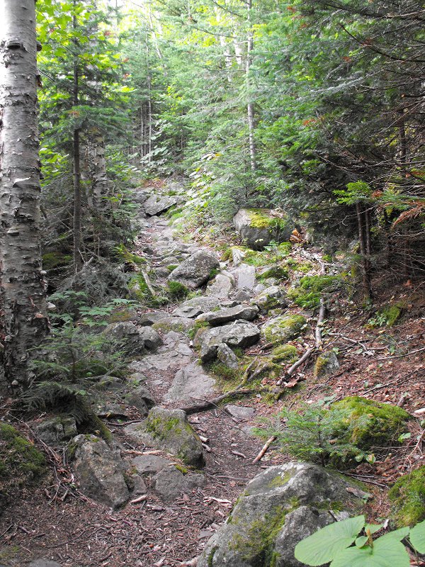 Mt Carrigan Hike (06)